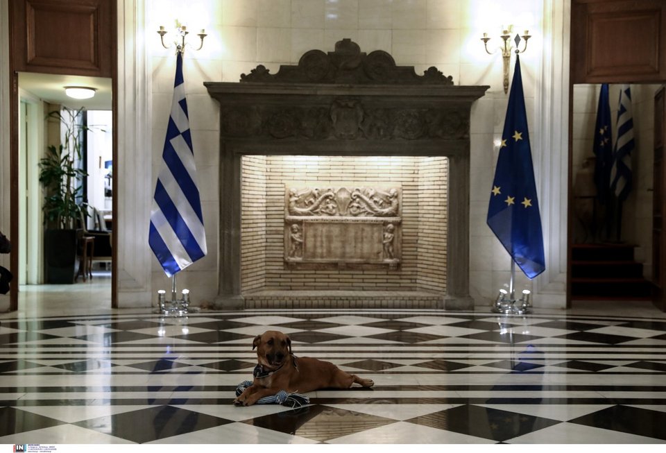 Ο Πίνατ εντός του Μεγάρου Μαξίμου / Φωτογραφία: Intime -ΚΑΠΑΝΤΑΗΣ ΔΗΜΗΤΡΗΣ