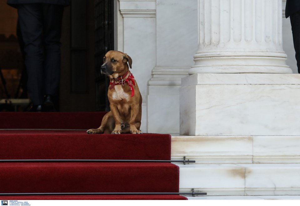 Ο Πίνατ με αυστηρό ύφος στα σκαλιά του Μεγάρου Μαξίμου / Φωτογραφία: Intime