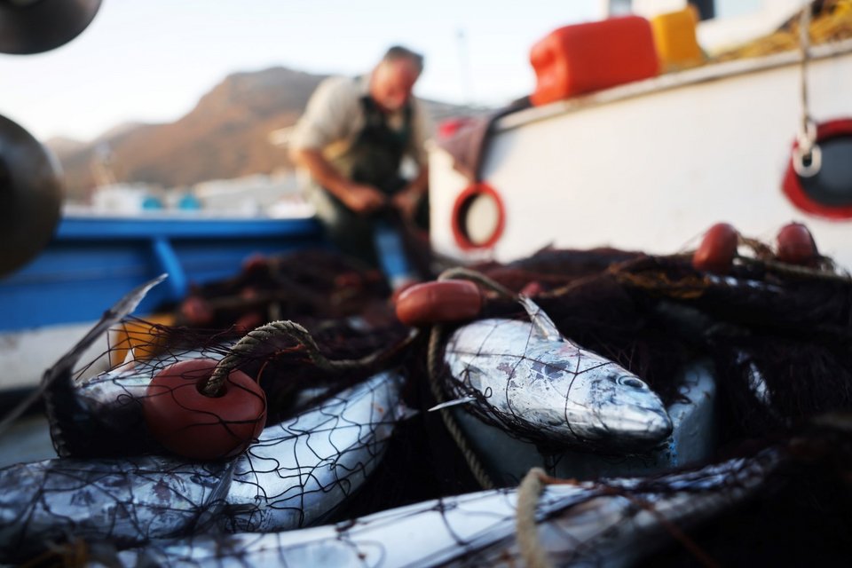 Φωτογραφία: Γιώργος Μουτάφης