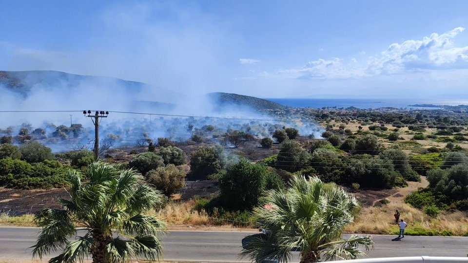 Φωτογραφία: iefimerida.gr