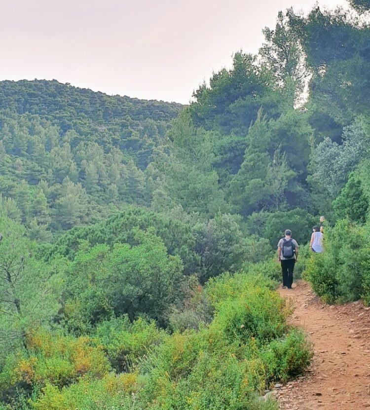 Περπατώντας σε μονοπάτι του Υμηττού / Φωτογραφία: Κωνσταντίνα Κουτσοπούλου/Happy Paths