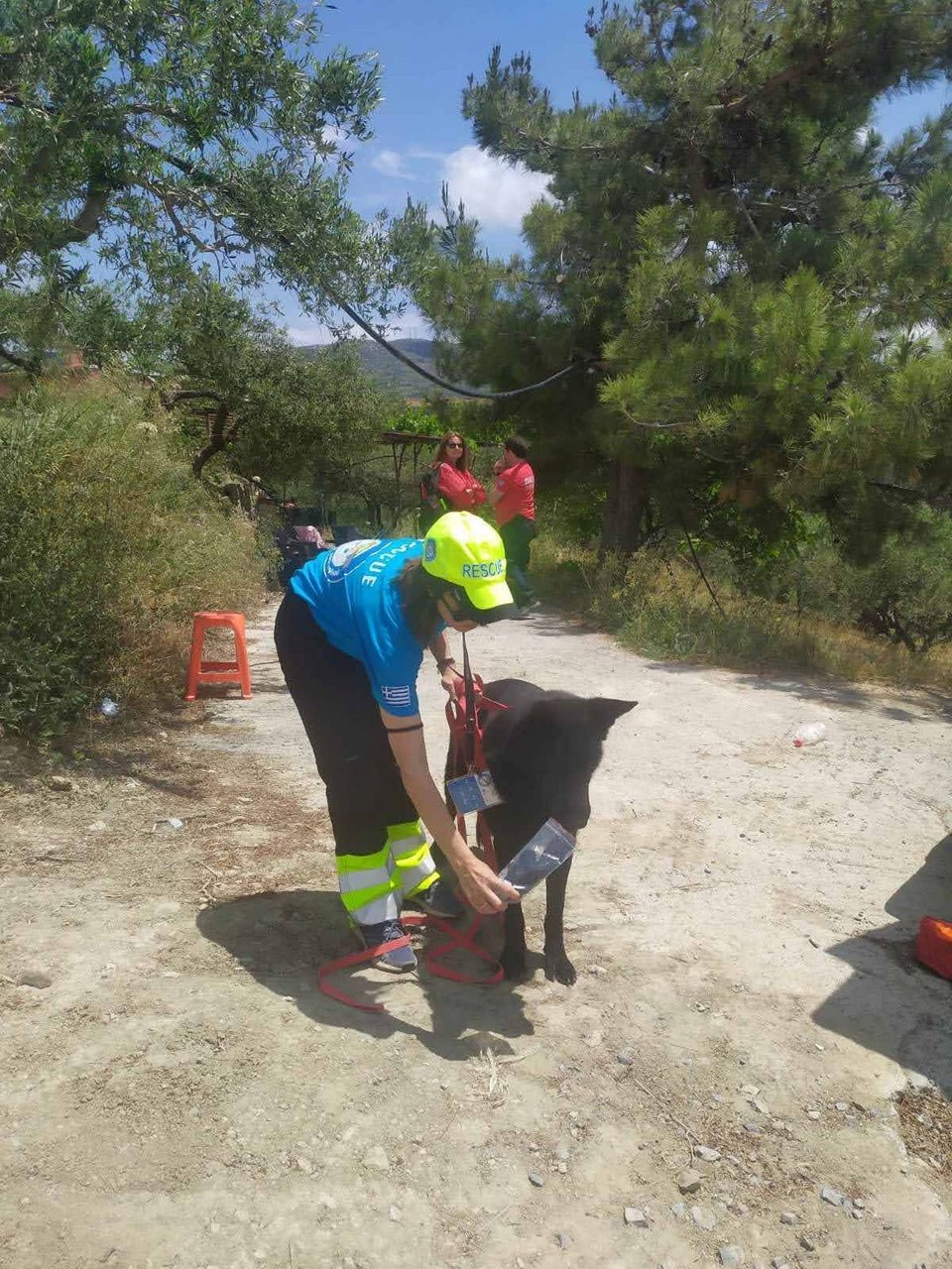 Εξαφάνιση 48χρονης από το Ηράκλειο Κρήτης