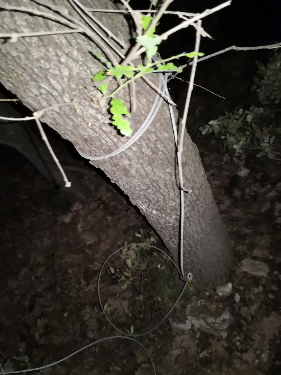 Η παράνομη θηλιά με το συρματόσχοινο