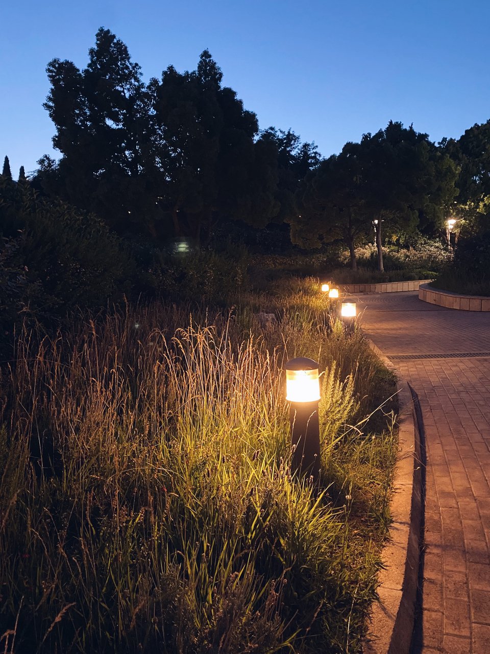 Το μονοπάτι που οδηγεί από τη λεωφόρο Βασιλίσσης Σοφίας στον κήπο του Μεγάρου Μουσικής και στο εστιατόριο Fuga.