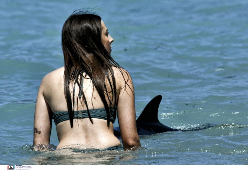 Νεαρό δελφίνι έχασε τον προσανατολισμό και κατέληξε σε παραλία της Κορίνθου / Φωτογραφία: INTIME