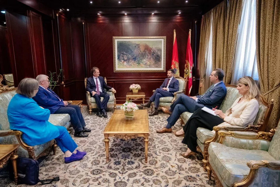 O ευρωβουλευτής του ΠΑΣΟΚ και επικεφαλής της Αντιπροσωπείας παρατηρητών του Ευρωκοινοβουλίου για τις βουλευτικές εκλογές στο Μαυροβούνιο, Νίκος Παπανδρέου, σε συνάντηση με τον πρόεδρο Γιακόβ Μιλάτοβιτς