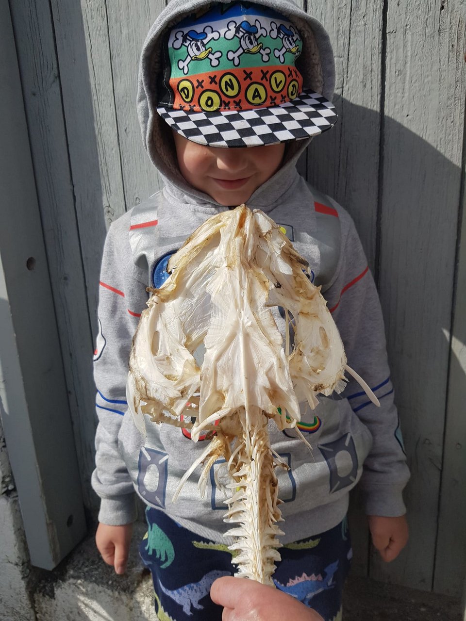 Ένα κρανίο μπακαλιάρου που είανι μεγαλύτερο από το κεφάλι του γιου τους