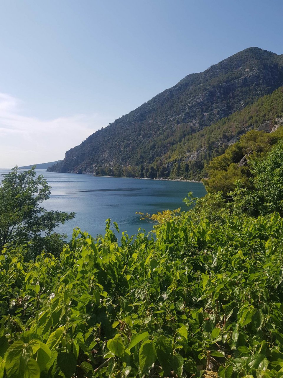 Φωτογραφία: iefimerida.gr/Κωνσταντίνα Δαπόντε