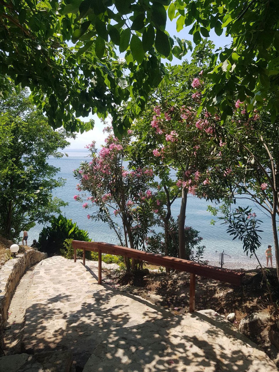 Φωτογραφία: iefimerida.gr/Κωνσταντίνα Δαπόντε
