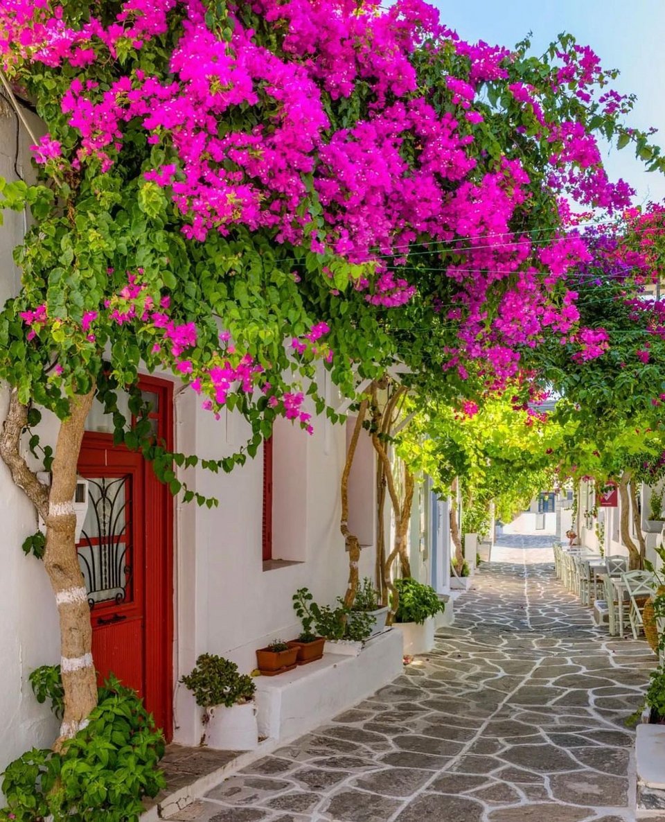Πάρος/Φωτογραφία: Instagram/ discoveriestheworld