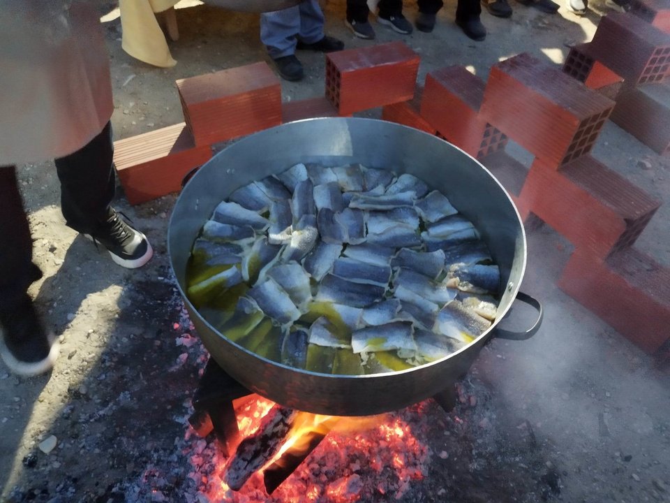 Ψάρι στον νταβά