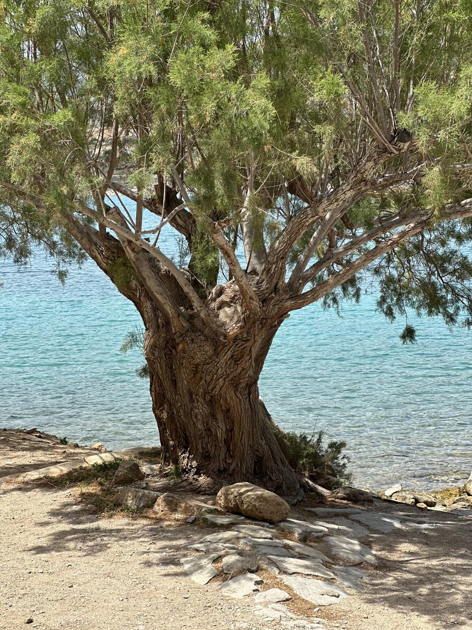 Φωτογραφία iefimerida.gr