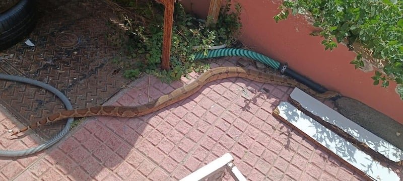 Βόας στη Σάμο / Φωτογραφία: samostimes