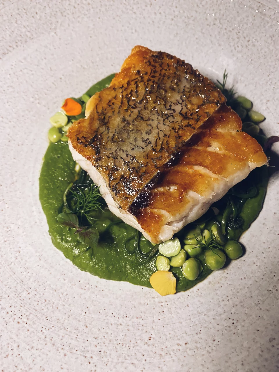 H σφυρίδα, ένα πιάτο που έχει μέσα του την μαγεία της θάλασσας.