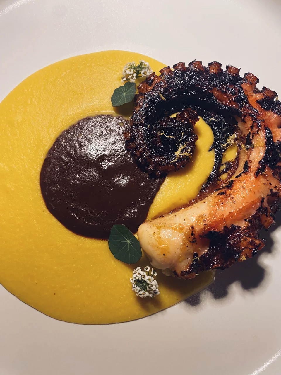 Το περίφημο πιάτο με το χταπόδι του Abra Ovata.