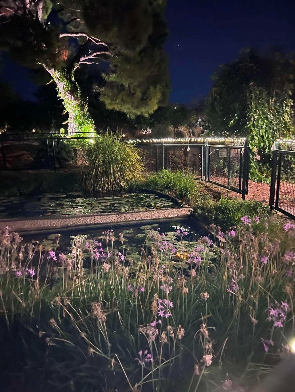 Η φωτισμένη τεχνητή λίνμη τη νύχτα. 