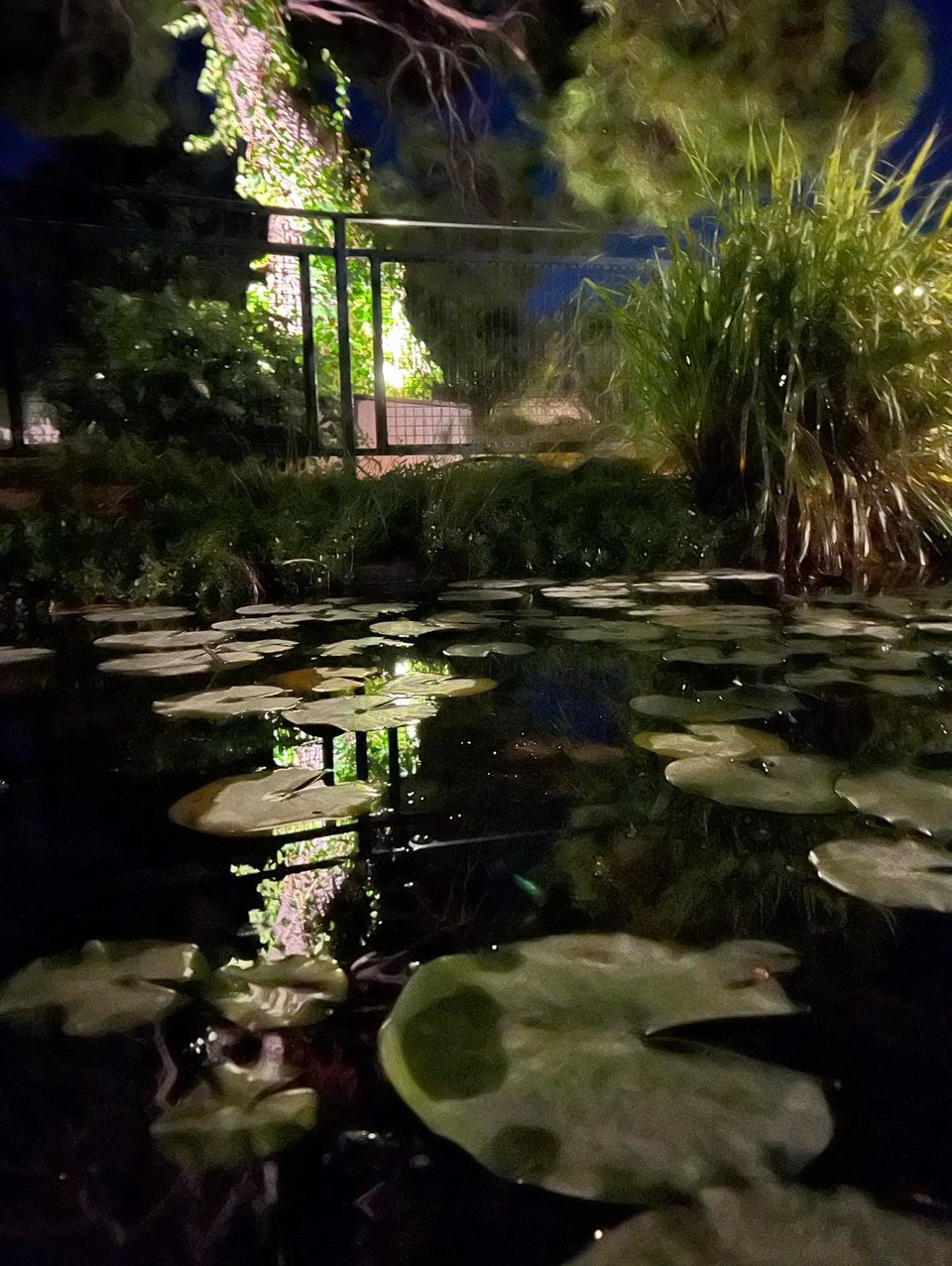 Η φωτισμένη τεχνητή λιμνούλα του Περιβολιού στη Βάρη.