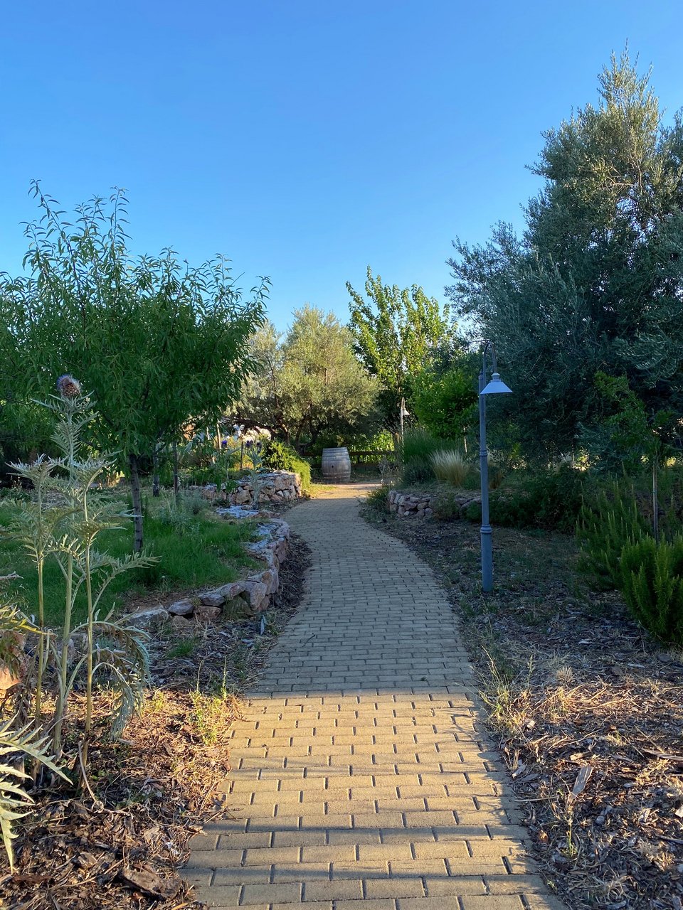 Το μονοπάτι που οδηγεί από την είσοδο του Περιβολιού στη Βάρη, στο εστιατόριο. 