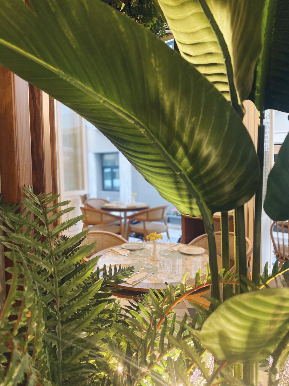 Tα φως που φιλτράρεται μέσα από τα συνθετικά φυτά που διακοσμούν το χώρο, δημιουργεί ένα αίσθημα ευεξίας  / Φωτογραφία: Μάνος Λειβαδάρος/iefimerida