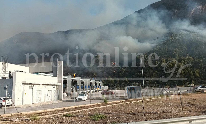 Η φωτιά στο Διακοπτό /protionline.gr