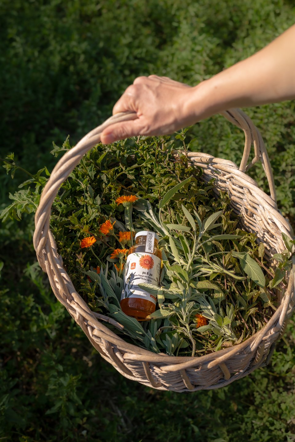 Το κρύο βοτανικό ρόφημα του Grizo Prasino: Από το χωράφι στο μπουκαλάκι / Φωτογραφία: Yana Chilingarova 