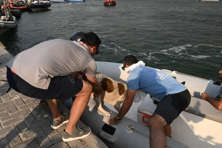 agxialos ekkenosi2 1.jpg