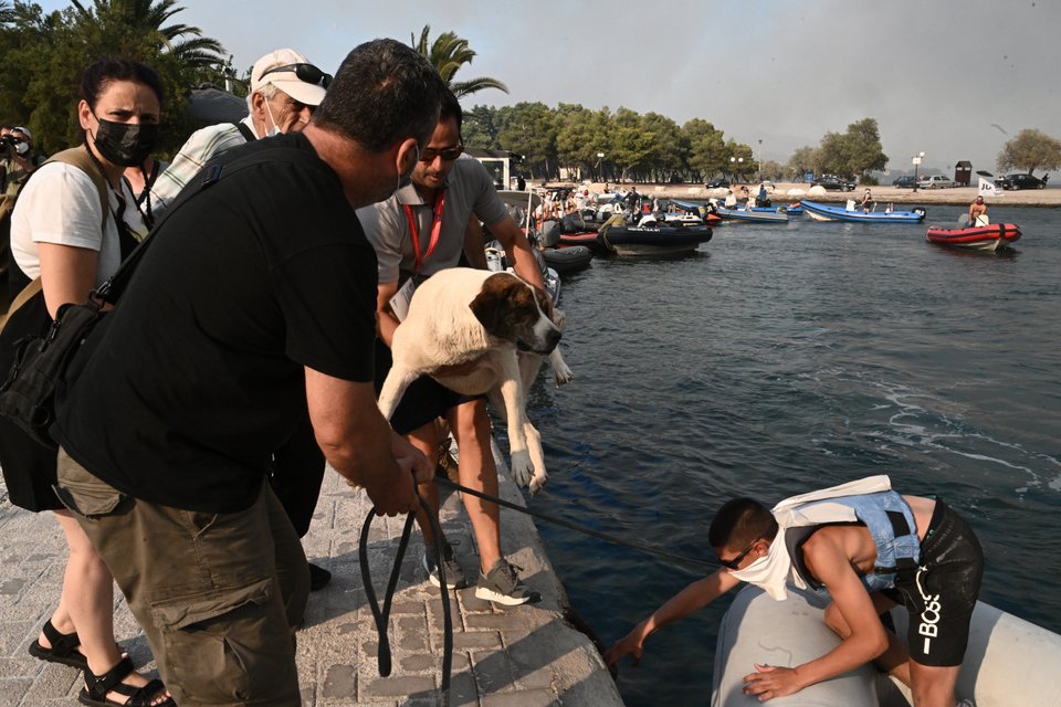 ΤΑΤΙΑΝΑ ΜΠΟΛΑΡΗ/EUROKINISSI
