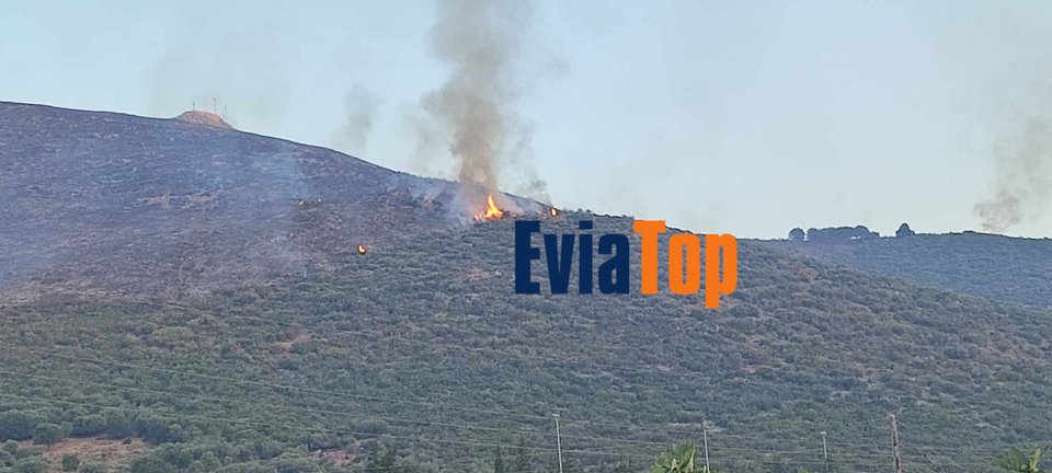 Φωτιά στο Αλιβέρι Εύβοιας / eviatop.gr