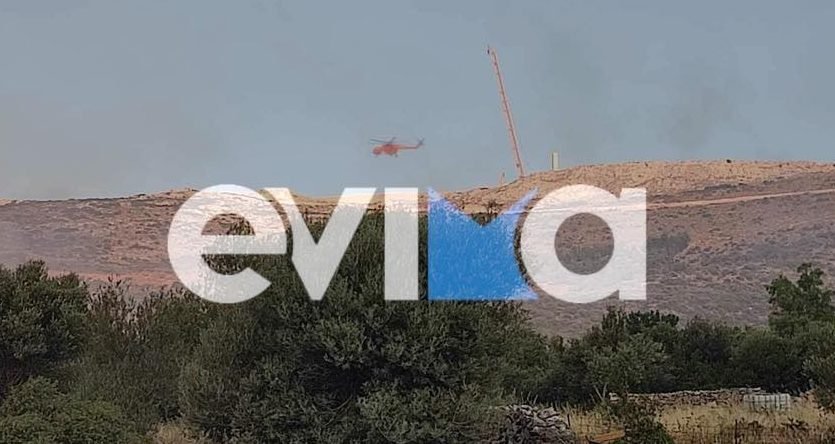 Επιχειρούν εναέρια μέσα για την κατάσβεση της φωτιάς στην Εύβοια / evima.gr