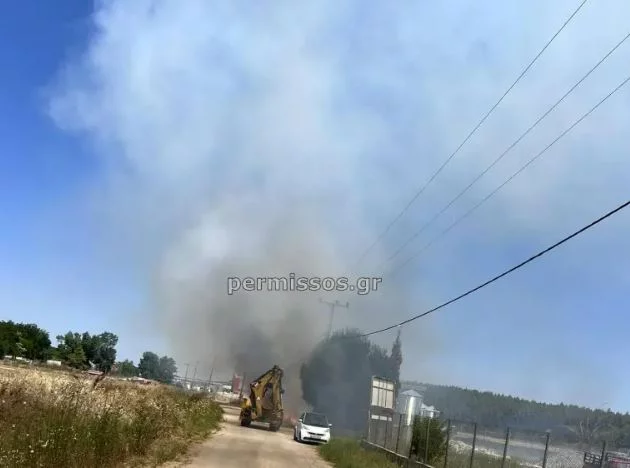 Φωτιά στο Καπαρέλλι Βοιωτίας