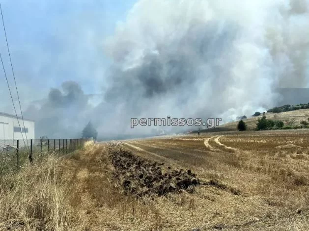 Φωτιά στο Καπαρέλλι Βοιωτίας