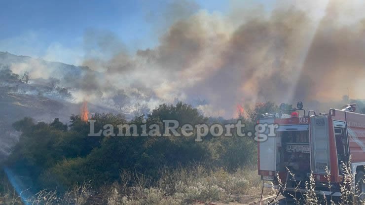 Φωτιά στον Προφήτη Ηλία στη Λαμία