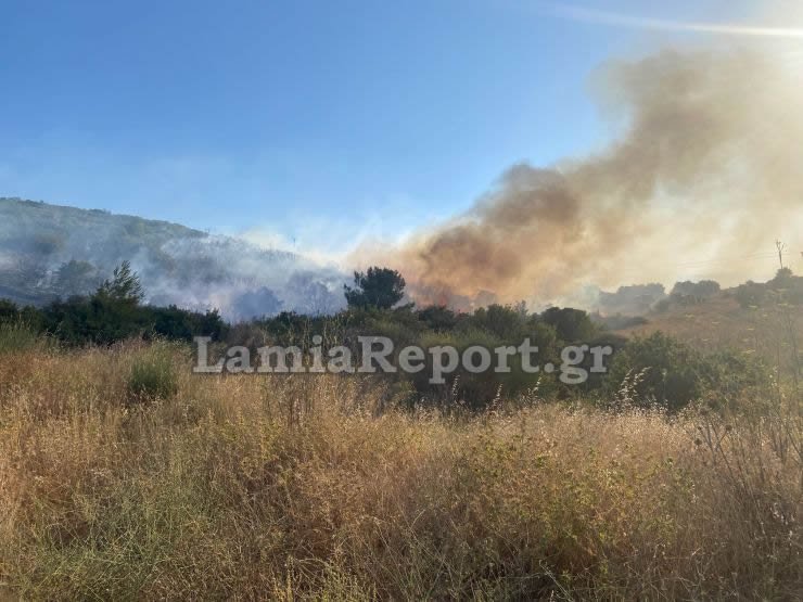 Φωτιά στον Προφήτη Ηλία στη Λαμία
