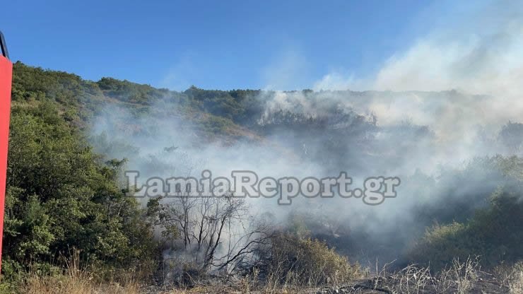Φωτιά στον Προφήτη Ηλία στη Λαμία
