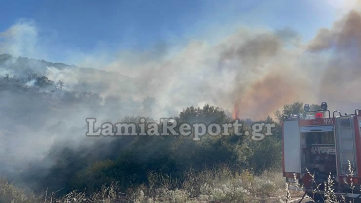 Φωτιά στον Προφήτη Ηλία στη Λαμία