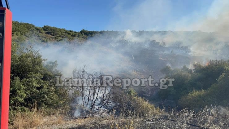 Φωτιά στον Προφήτη Ηλία στη Λαμία