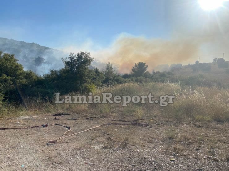 Φωτιά στον Προφήτη Ηλία στη Λαμία