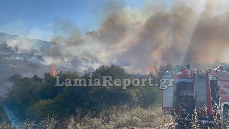 Φωτιά στον Προφήτη Ηλία στη Λαμία
