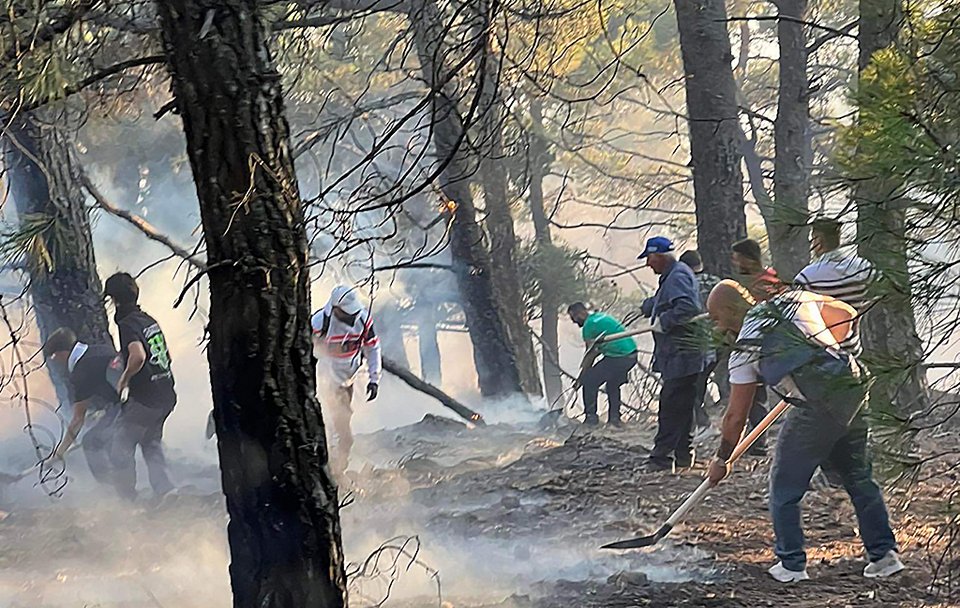 Μάχη με τη φωτιά δίνουν Πυροσβέστες και εθελοντές στην Ρόδο / dimokratiki.gr