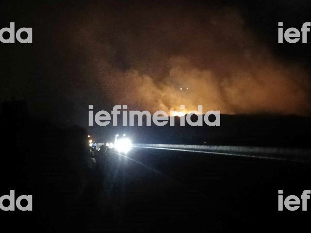 Ολονύχτια μάχη με τις φλόγες στο Βελεστίνο της Μαγνησίας / Φωτογραφία: iefimerida.gr