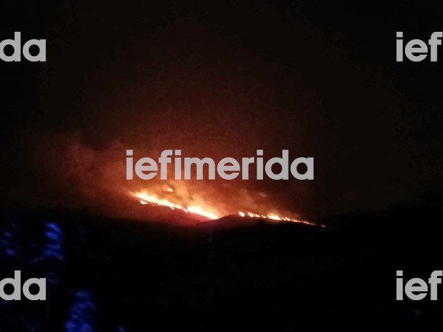 Ολονύχτια μάχη με τις φλόγες στο Βελεστίνο της Μαγνησίας / Φωτογραφία: iefimerida.gr