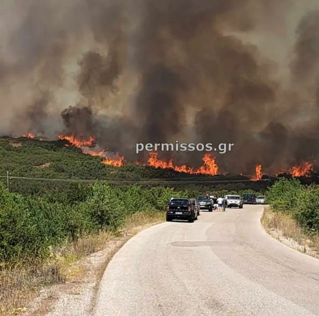 Φωτιά στη Βοιωτία