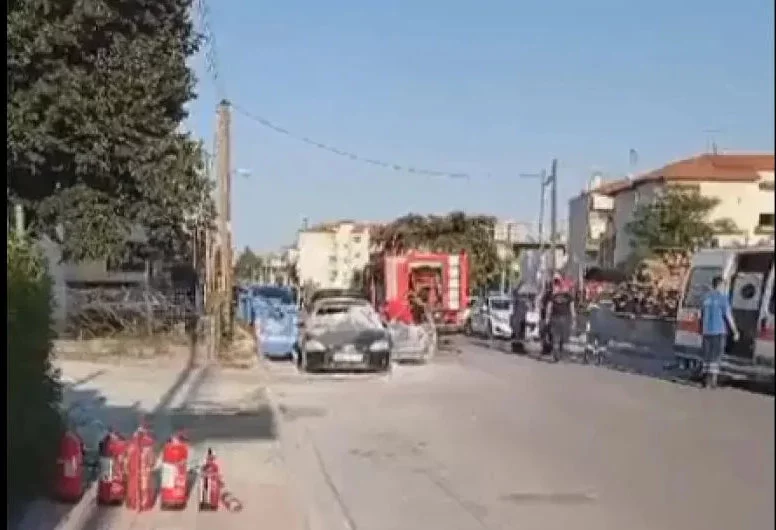 Φωτογραφία:Οδηγός Πιερίας