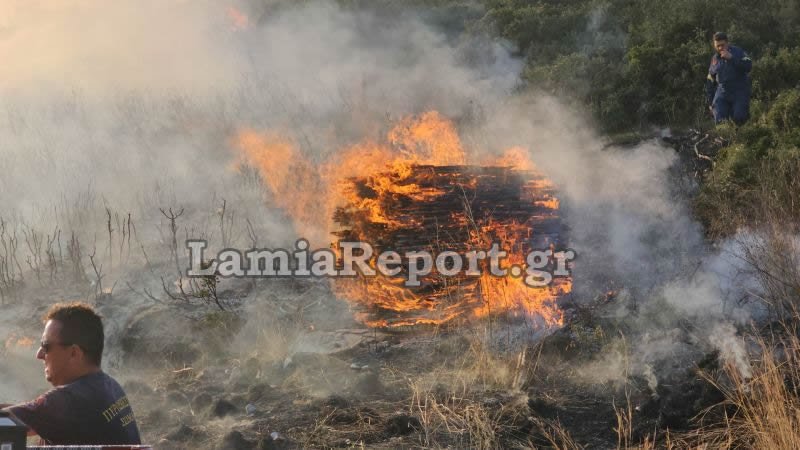 Λαμία: Ξέσπασε πυρκαγιά κοντά σε σπίτια -Συναγερμός στην Πυροσβεστική / Φωτογραφία: Lamiareport