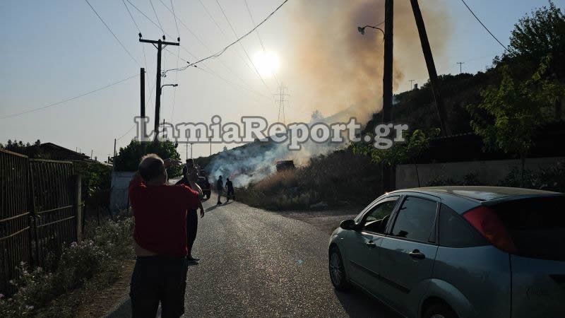 Λαμία: Ξέσπασε πυρκαγιά κοντά σε σπίτια -Συναγερμός στην Πυροσβεστική / Φωτογραφία: Lamiareport