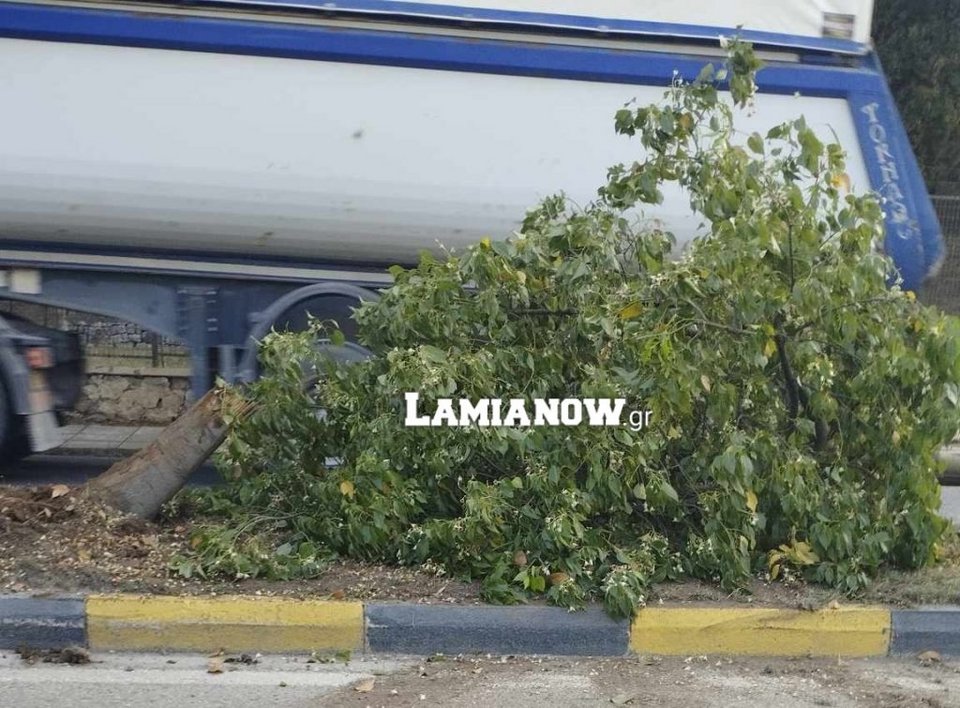 τροχαίο