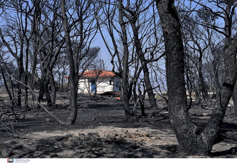 Ένα σπίτι σώθηκε την τελευταία στιγμή. Όλα γύρω του καμένα / Φωτογραφία: ΨΩΜΑΣ ΒΑΣΙΛΗΣ / INTIMENEWS