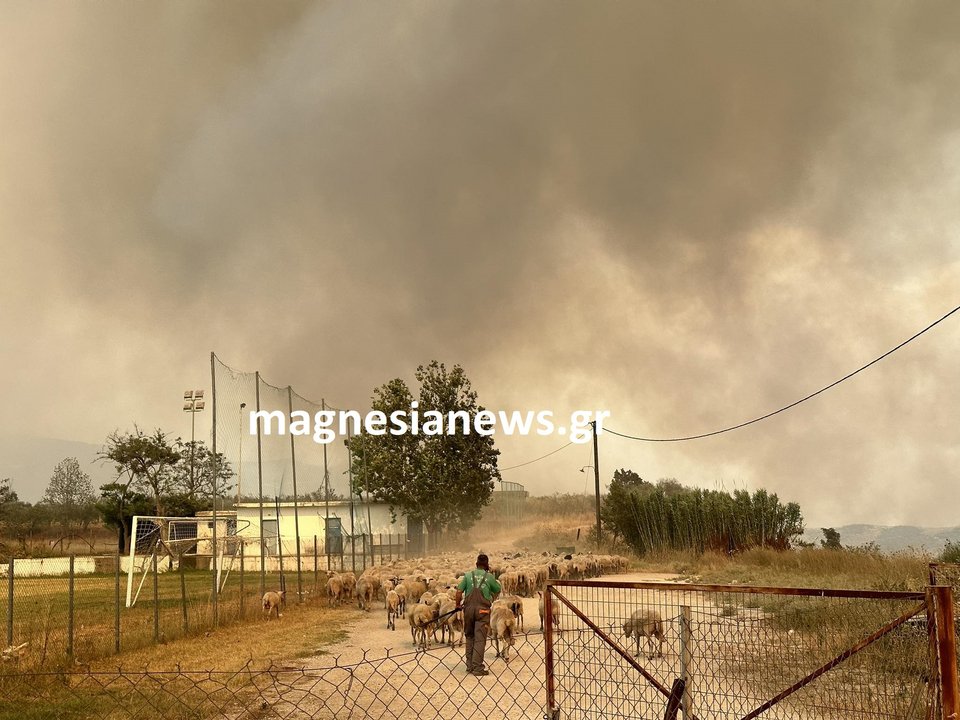Η φωτιά μπήκε στο Σέσκλο / magnesianews