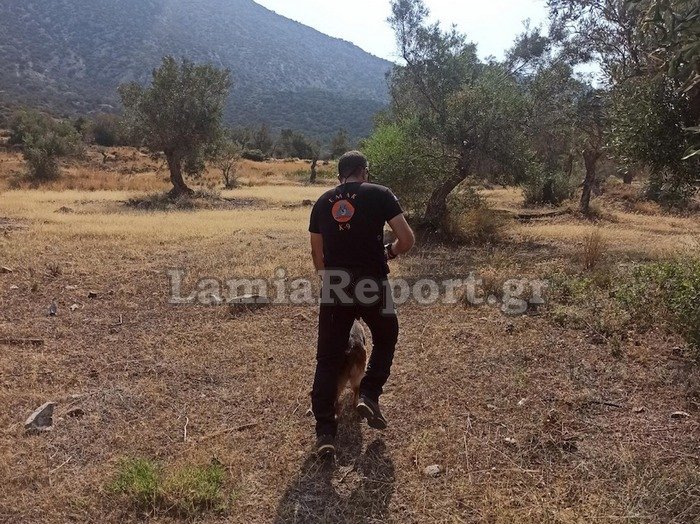 Φωτογραφία: lamiareport.gr