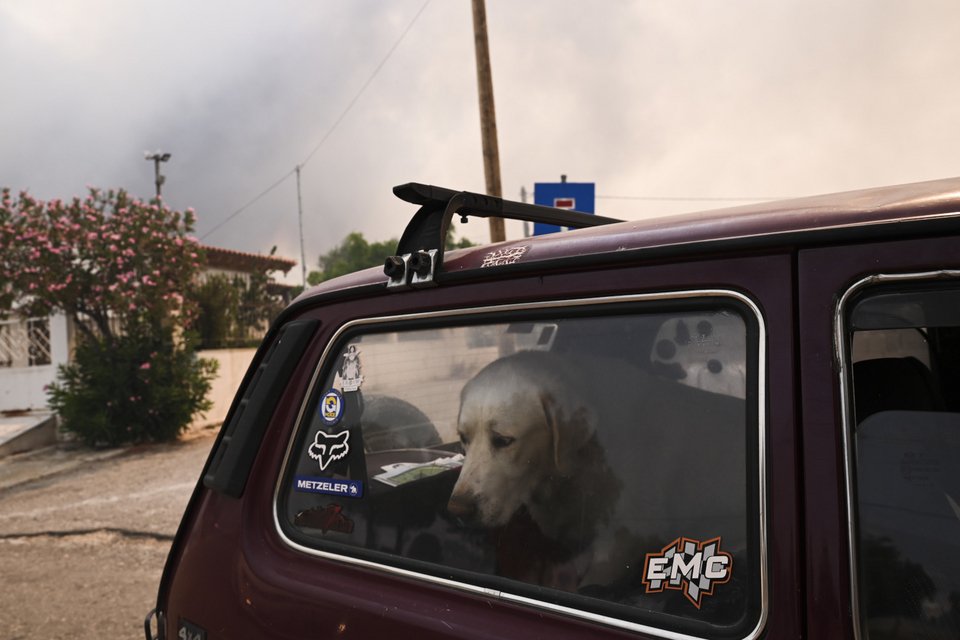 Φωτογραφία: SOOC